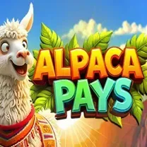 Download Do Aplicativo De Login Do Cryptorino Casino